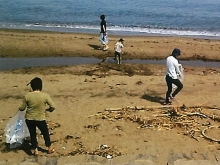 サーファーによる海岸清掃