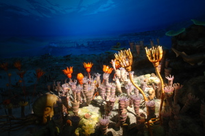 三億年前のサンゴ礁