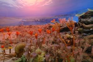 三億年前のサンゴ礁