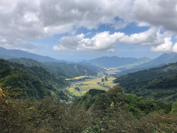 稲刈りシーズンの上早川谷