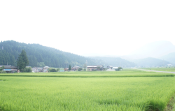 周辺景色の画像