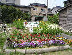 花いっぱいの会花壇