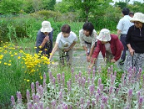 花壇の見学