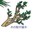 木の枝や庭木