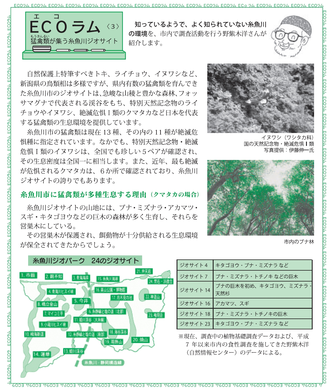 猛禽類が集う糸魚川ジオサイト