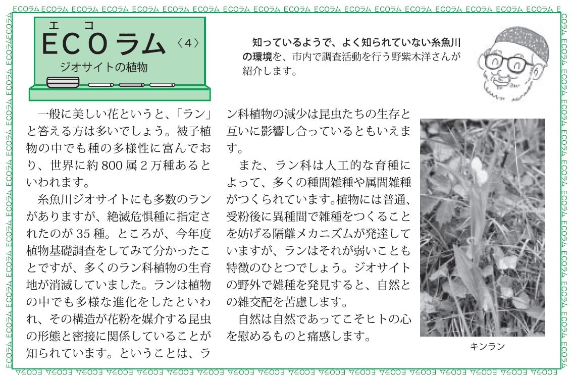 ジオサイトの植物