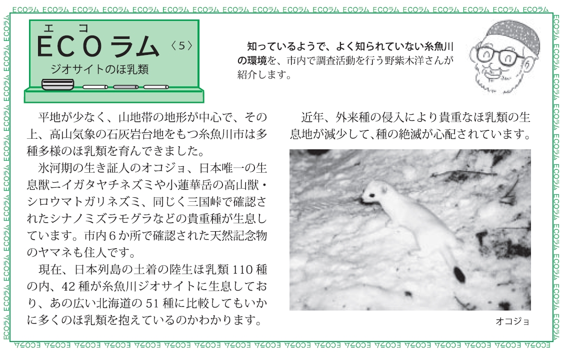 ジオサイトの哺乳類