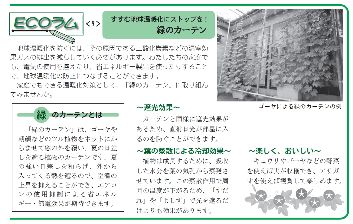 緑のカーテン