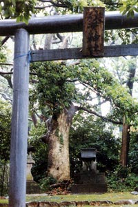 秋葉神社