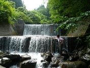 調査写真2
