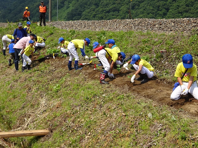 一生懸命植えましたの画像