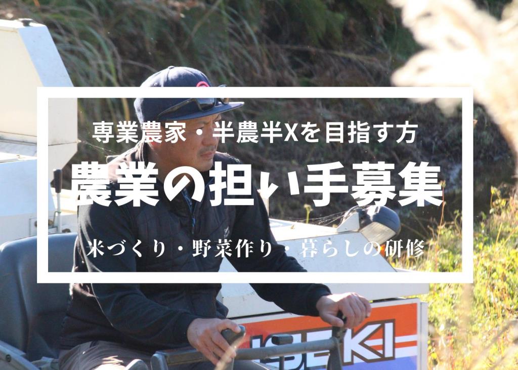 西海地区地域おこし協力隊の画像1