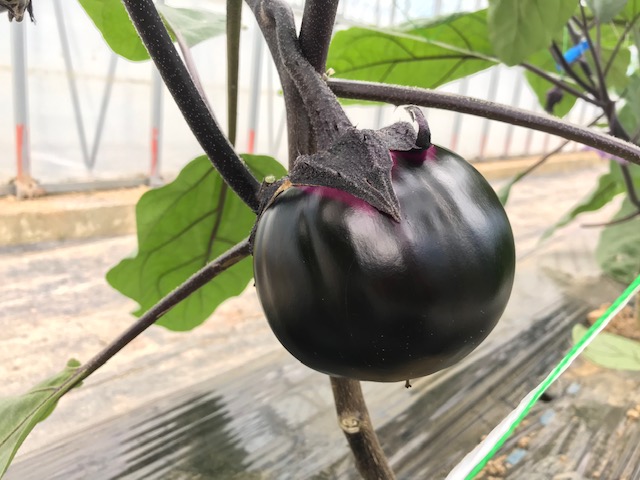 こんな方にオススメの画像2