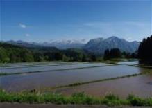 糸魚川の大地とおいしいお米の関係の画像5