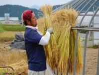 糸魚川　農林水産業　PR動画の画像3