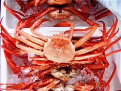 ジオパークのまち糸魚川で農林水産業にチャレンジしませんか？の画像5