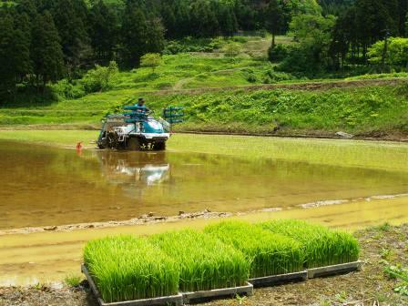 ジオパークのまち糸魚川で農林水産業にチャレンジしませんか？の画像8