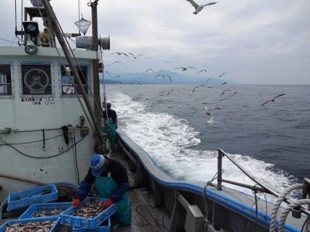 ジオパークのまち糸魚川で農林水産業にチャレンジしませんか？の画像9