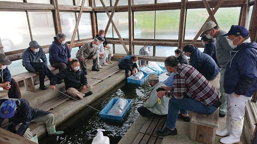 セリ市の様子の画像