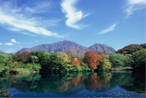 雨飾山麓しろ池の森の画像1