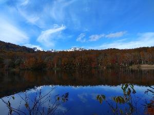 白池森林公園（糸魚川市大字大所990番地4）の画像1