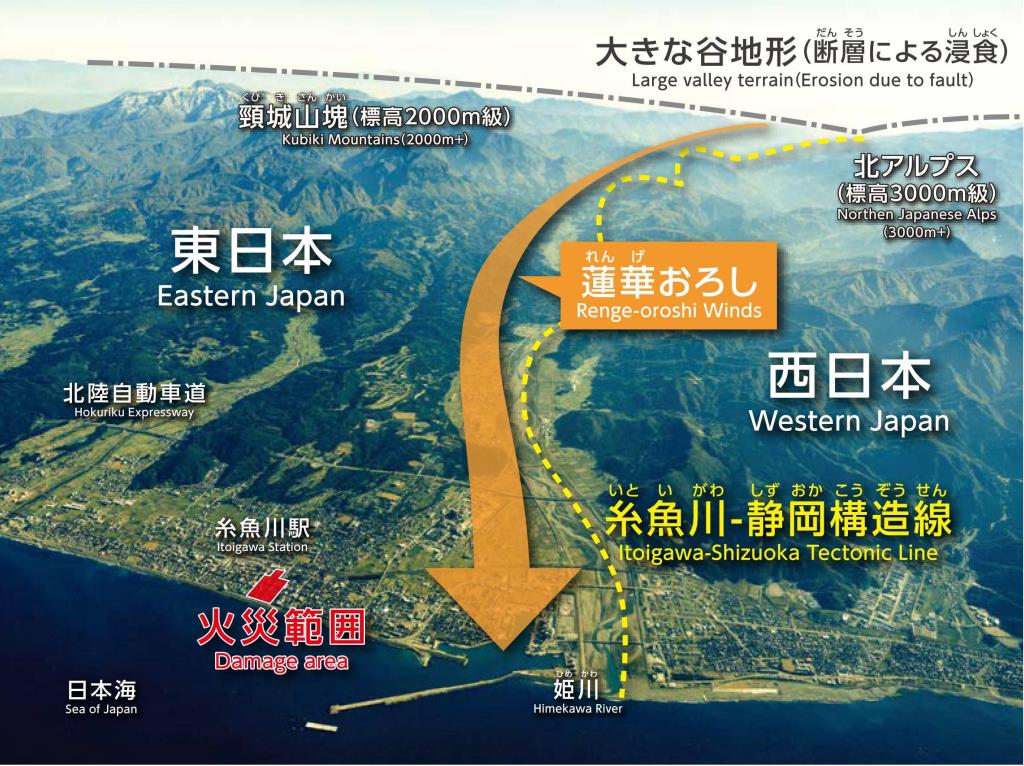 要因_図1