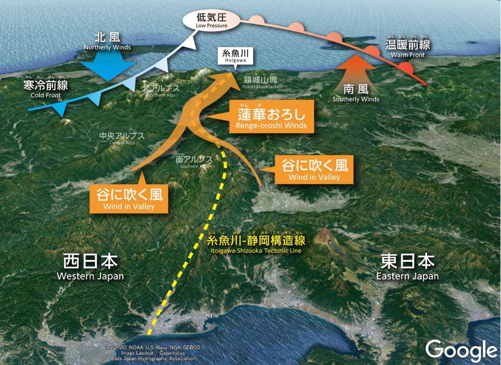 要因_図2