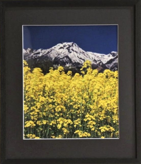 第19回糸魚川市美術展覧会入賞作品の画像20