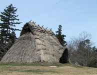 20号住居（竪穴住居）の画像