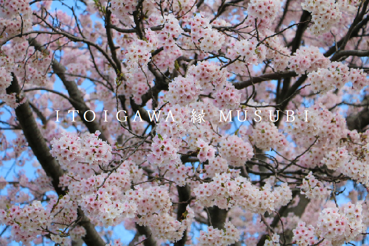 縁結びハッピーコーディネート事業の画像