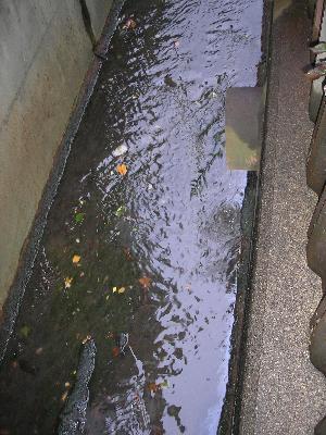 側溝を流れる油膜