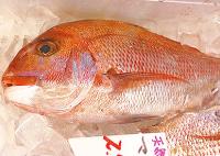 鮮魚センター　魚正 写真２