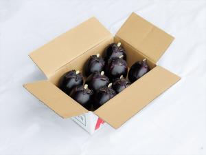 越の丸茄子