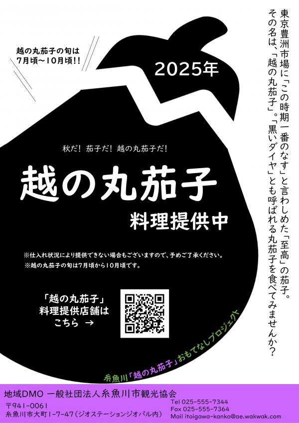 チラシ