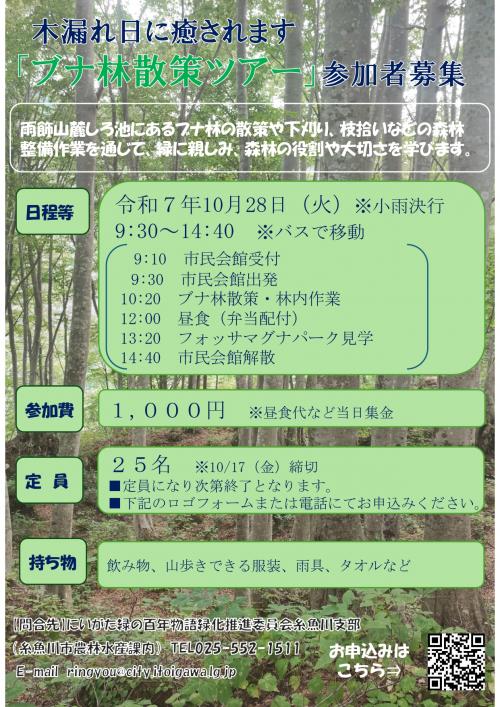 ブナ林散策ツアーチラシ