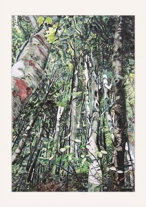 絵画部門の奨励賞です。ブナ林が描かれた絵です。