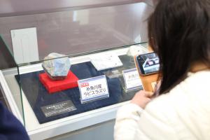 写真を撮る来館者