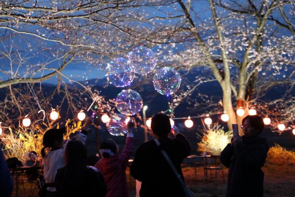 まほろば街道観桜会