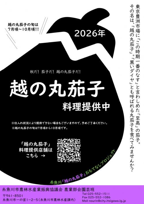 チラシ