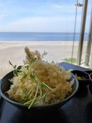 めぎす天丼