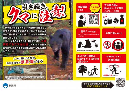 注意喚起チラシA5