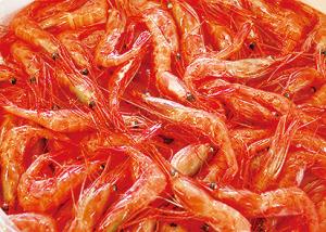 鮮魚センター　魚正 写真