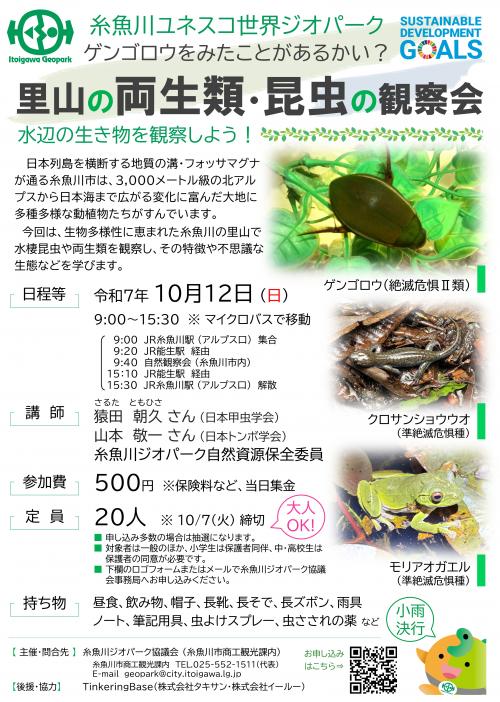 里山の両生類・昆虫の観察会チラシ
