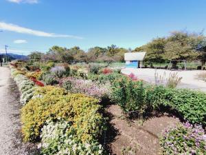 八千川公園4