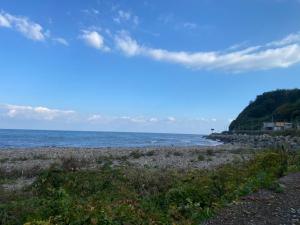 海岸の様子